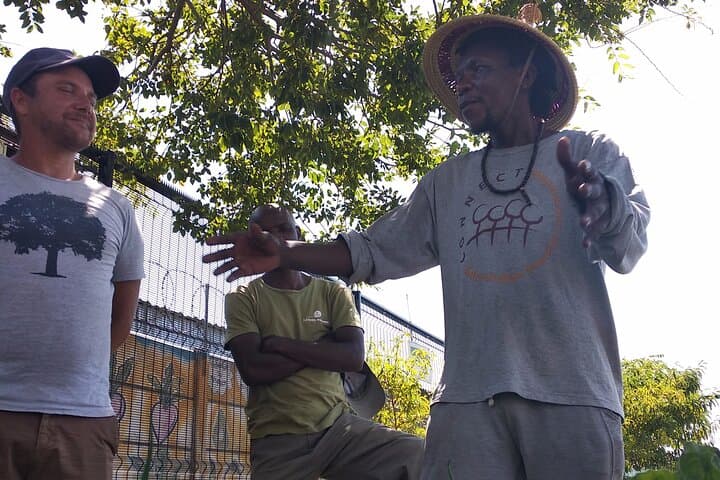 Langa Community Garden Harvest: Hands-On Urban Farming in Cape Town photo 6