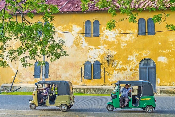Highlights of Sri Lanka: Mirissa Whales, Sigiriya Climb & Kandy Cultural Tour photo 4