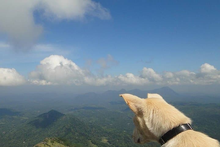 Knuckles Range: 7-Day Private Trek to Meemure, Mini World's End & Leopard Rock photo 3