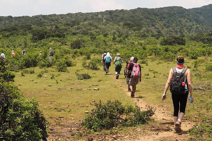 Knuckles Range: 7-Day Private Trek to Meemure, Mini World's End & Leopard Rock photo 4