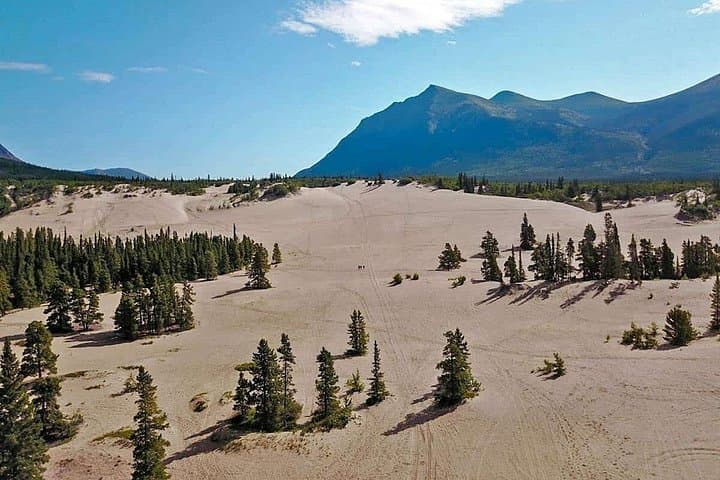 Yukon Gold Experience — Emerald Lake, Carcross Desert & Gold Panning from Whitehorse photo 4