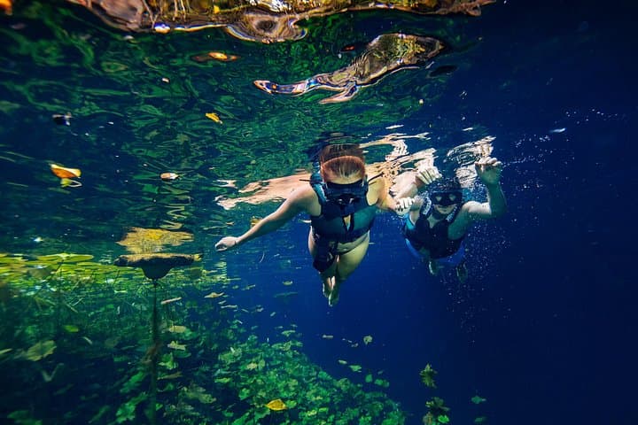 Xenotes Tour: Four-Cenote Adventure from Cancun & Playa del Carmen photo 3