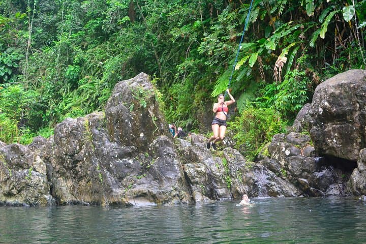 El Yunque Rainforest Day Tour from San Juan — Waterfalls & Native Flora photo 2