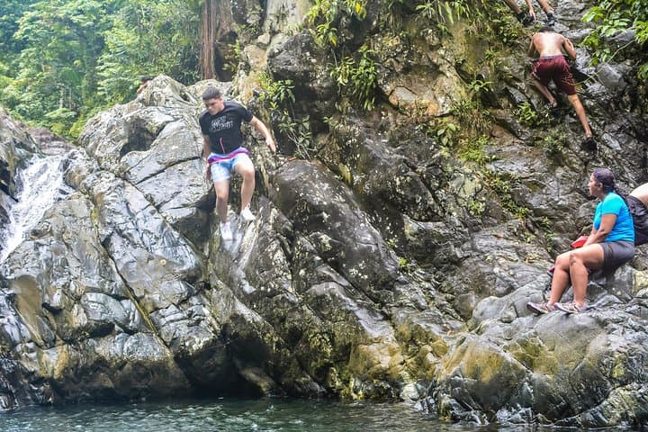 El Yunque Rainforest Day Tour from San Juan — Waterfalls & Native Flora photo 6