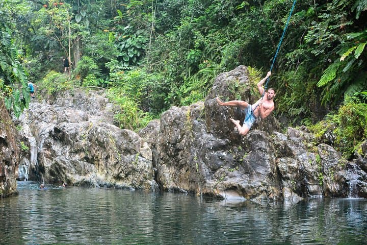 El Yunque Rainforest Day Tour from San Juan — Waterfalls & Native Flora photo 4
