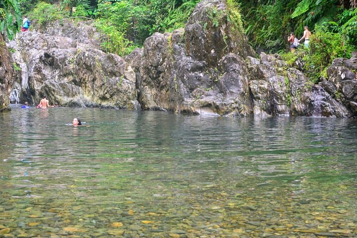 El Yunque Rainforest Day Tour from San Juan — Waterfalls & Native Flora photo 5