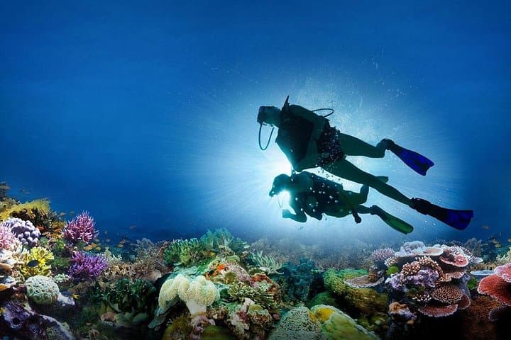 Nha Trang Mun Island Diving — Full-Day Scuba at Hòn Mun & Hòn Mót photo 2