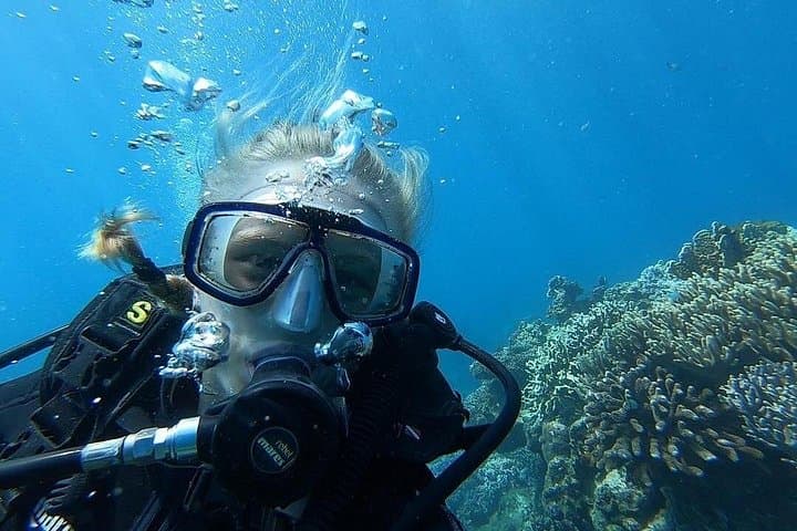 Nha Trang Mun Island Diving — Full-Day Scuba at Hòn Mun & Hòn Mót photo 3