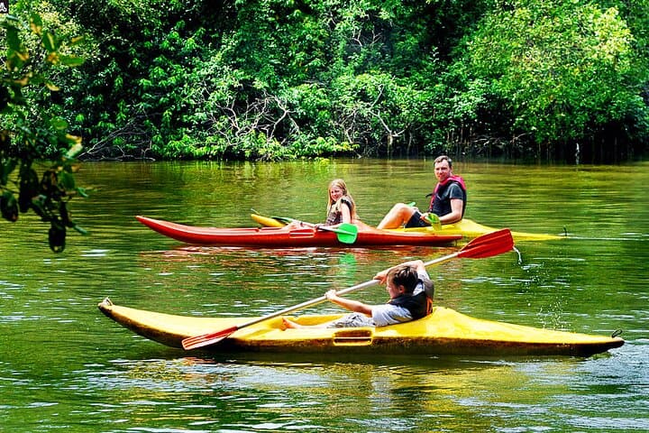 Canoeing Kitulgala River: Early-Morning Wildlife & Gentle Rapids photo 3