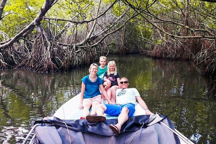 Bentota River Boat Safari: Bentara Lagoon Wildlife Cruise photo 5