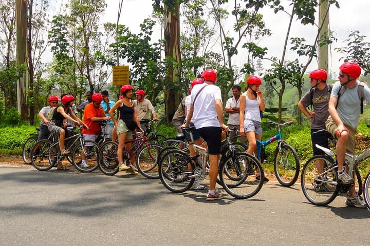 Cycling to Belilena Cave: Kitulgala Rubber-Plantation Ride and Jungle Hike photo 5