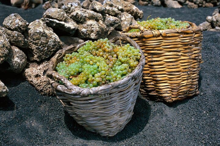 Hiking La Geria Vineyards: Lanzarote Volcanic Wine Walking Tour photo 5