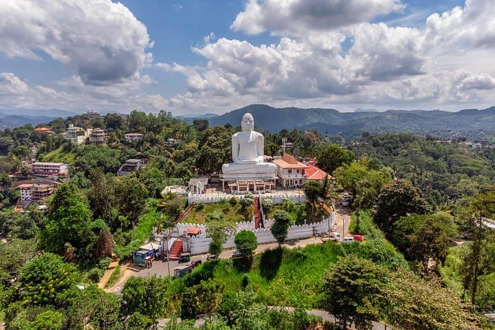 Kandy Day Trip from Negombo: Royal Botanical Gardens & Temple of the Tooth photo 1