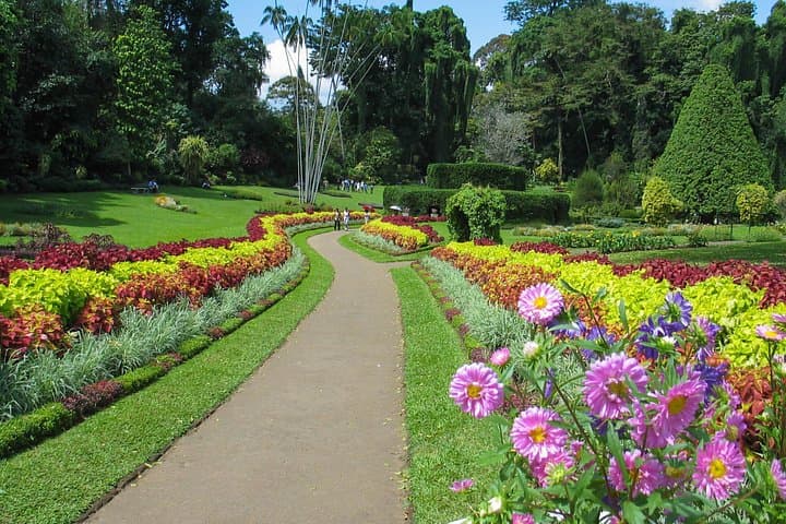 Kandy Day Trip from Negombo: Royal Botanical Gardens & Temple of the Tooth photo 2