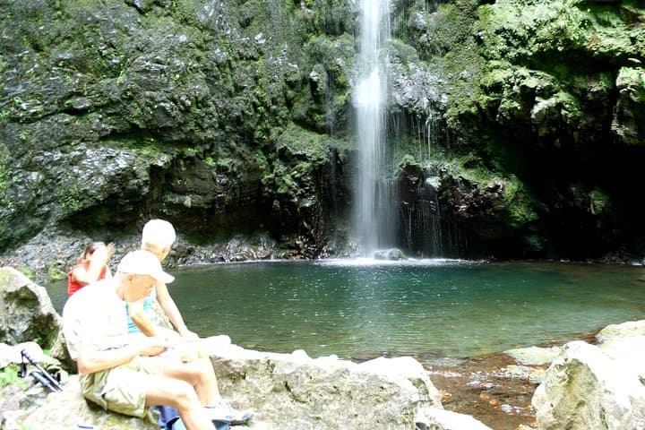 Queimadas to Caldeirão Verde Levada Walk — Madeira's 6–7 Hour Levadas and Waterfall Trail