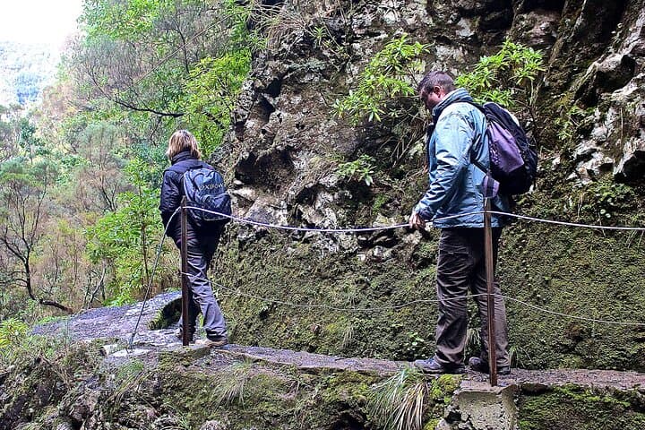 Queimadas to Caldeirão Verde Levada Walk — Madeira's 6–7 Hour Levadas and Waterfall Trail photo 2