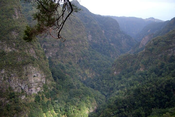 Queimadas to Caldeirão Verde Levada Walk — Madeira's 6–7 Hour Levadas and Waterfall Trail photo 3