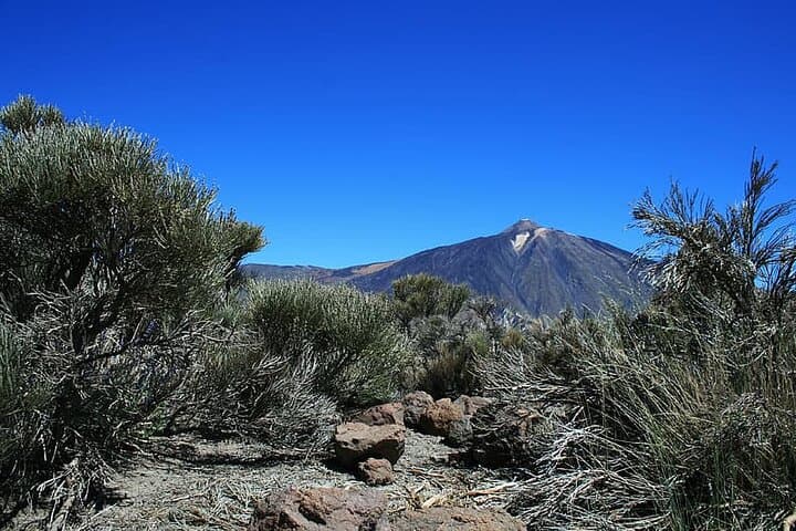 Private Full-Day Tour of La Laguna and Teide National Park — Tenerife UNESCO Highlights photo 3