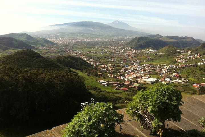 Private Full-Day Tour of La Laguna and Teide National Park — Tenerife UNESCO Highlights photo 6