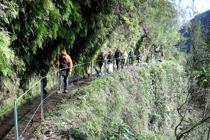 Hike Levada do Rei (The King's Levada): Ribeiro Bonito & Laurisilva Forest Walk, São Jorge, Madeira photo 2