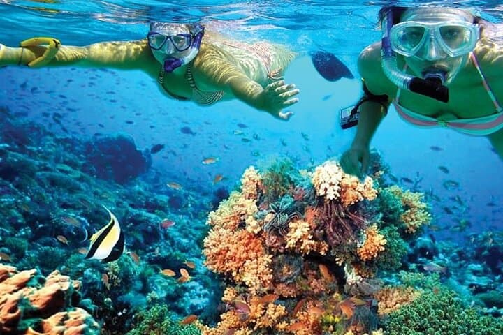 Catamaran Sailing to Isla Mujeres: Snorkel, Open Bar & Beach Club Day Trip from Cancun photo 4