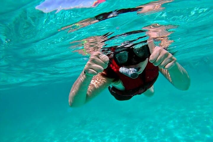 Speedboat Jungle & Snorkel Tour in Cancun's Nichupté Lagoon and Mayan Reef photo 4