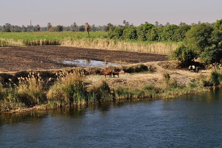 4-Night Private Nile Cruise Luxor to Aswan – Guided Historic River Itinerary photo 5