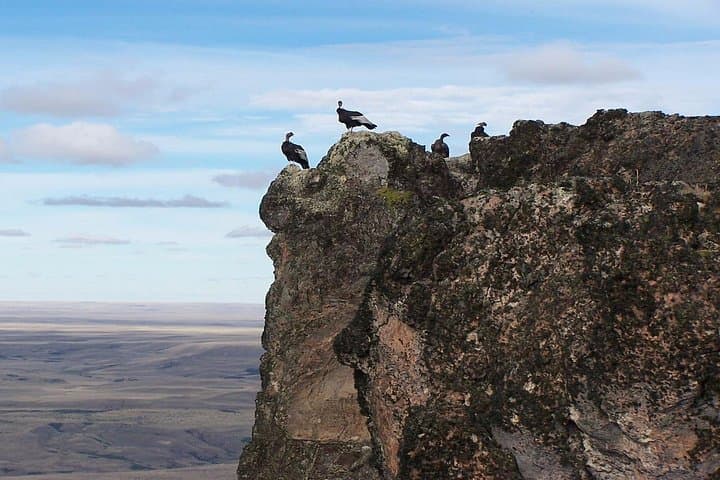 Sunrise Condor Watching and Tehuelche Culture near Coyhaique photo 3