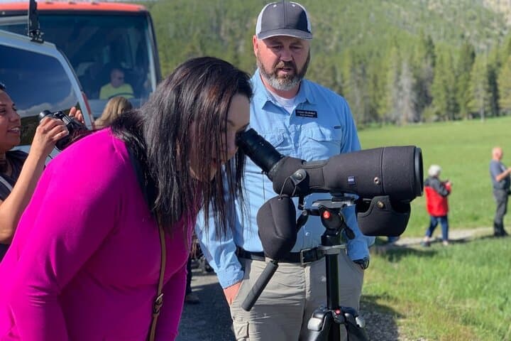 Explore Yellowstone’s Northern Loop: Private Wildlife Tour Through Iconic Habitats