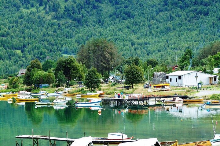 Private Tour to Queulat National Park — See the Queulat Hanging Glacier from Coyhaique photo 3
