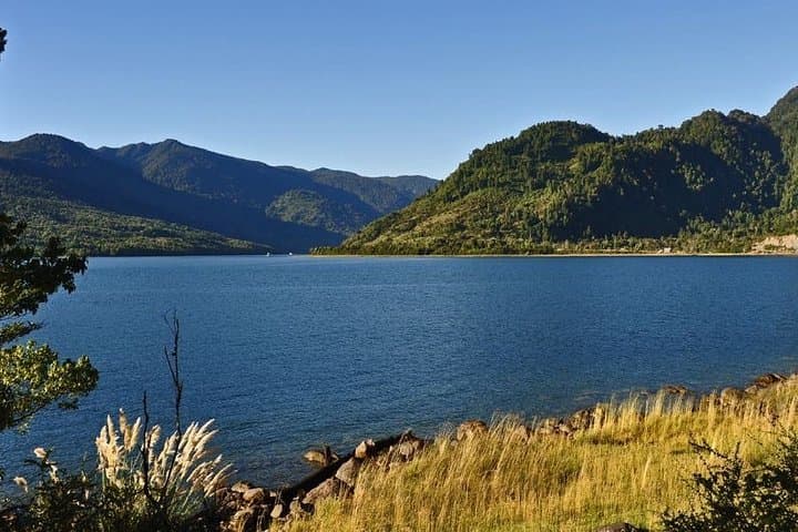 Private Tour to Queulat National Park — See the Queulat Hanging Glacier from Coyhaique photo 5