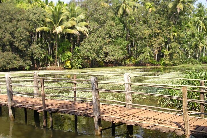 South Goa Highlights: Margao, Spice Plantation & Colonial Heritage (Full-Day Guided Tour)