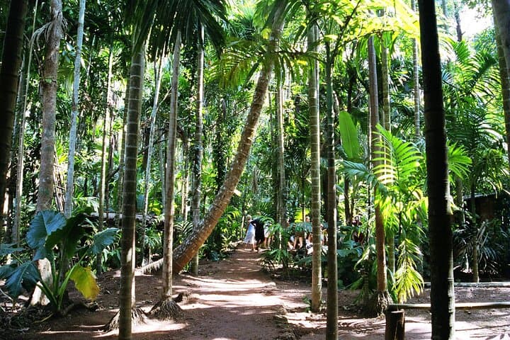 South Goa Highlights: Margao, Spice Plantation & Colonial Heritage (Full-Day Guided Tour) photo 4