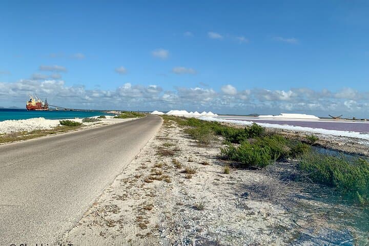 Explore Bonaire: North and South Island Tour with Beach Time and a Local Local Guide photo 4