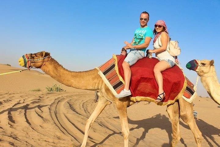 Evening Desert Safari in Dubai: Dune Bashing, Camel Ride & Seven Live Shows