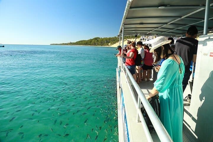 Moreton Island Wrecks Adventure — Tangalooma Snorkel, SUP & Glass‑Bottom Boat photo 1