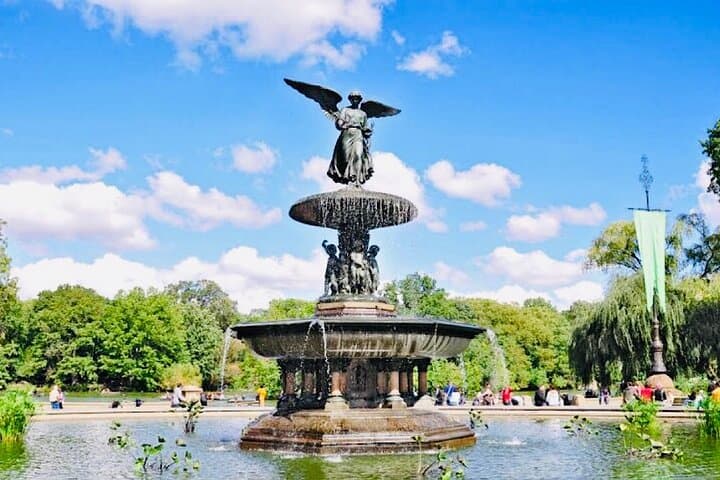 Central Park Guided Pedicab Tour — Private Pedicab Ride Through NYC's Iconic Park photo 4