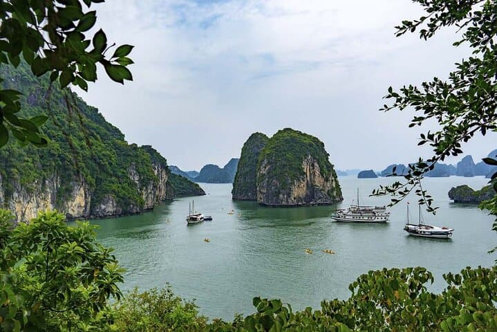 Halong Bay 2-Day Cruise on V'Spirit Classic — Sung Sot Cave, Titov Island & Kayaking photo 3