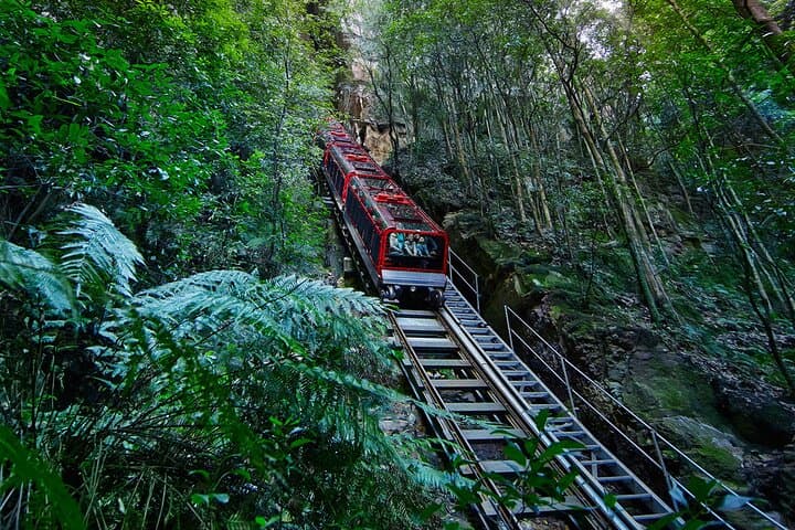 Blue Mountains Highlights: Wentworth Falls, Scenic Railway & Three Sisters Day Tour photo 6