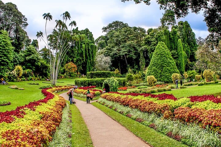 From Beruwala Beaches to Kandy: Full-Day Private City Tour photo 5