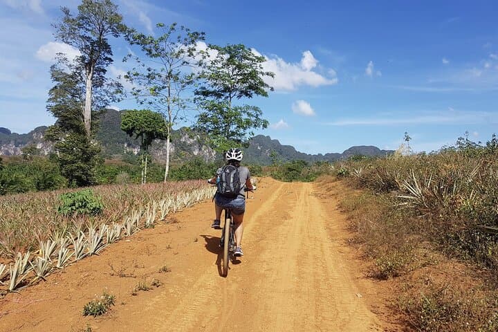 Krabi Countryside Eco Cycling: Waterfalls, Villages & Jungle Trails photo 1