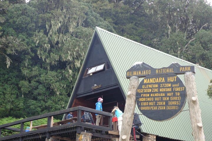 Hiking Kilimanjaro’s Marangu Route: A Day Trek Through Rainforest and Ridges photo 3
