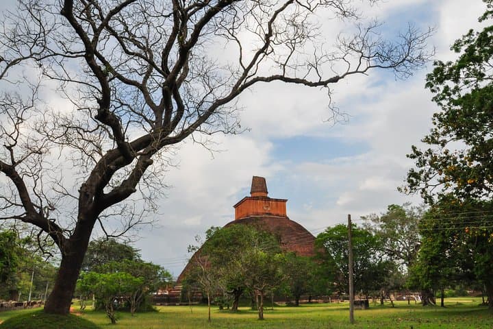 Day Trip to Anuradhapura from Jaffna: Explore Ancient Stupas & Sacred Bo Tree photo 5