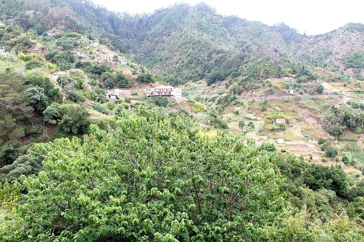 Madeira Coastal Trek: Larano to Boca do Risco and Maroços Walk photo 4