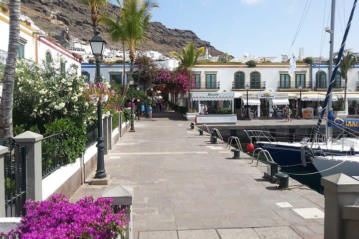 Private Full-Day Tour to Puerto de Mogán & Natural Inagua Reserve from Gran Canaria