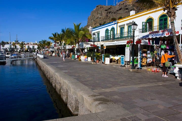 Private Full-Day Tour to Puerto de Mogán & Natural Inagua Reserve from Gran Canaria photo 3