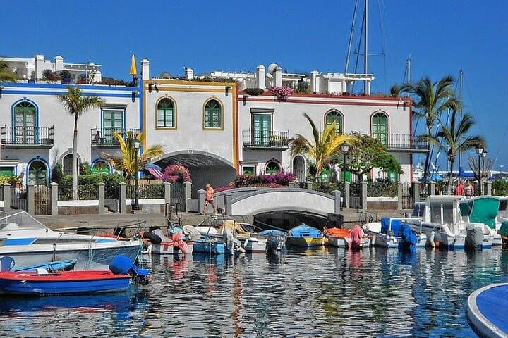 Private Full-Day Tour to Puerto de Mogán & Natural Inagua Reserve from Gran Canaria photo 4