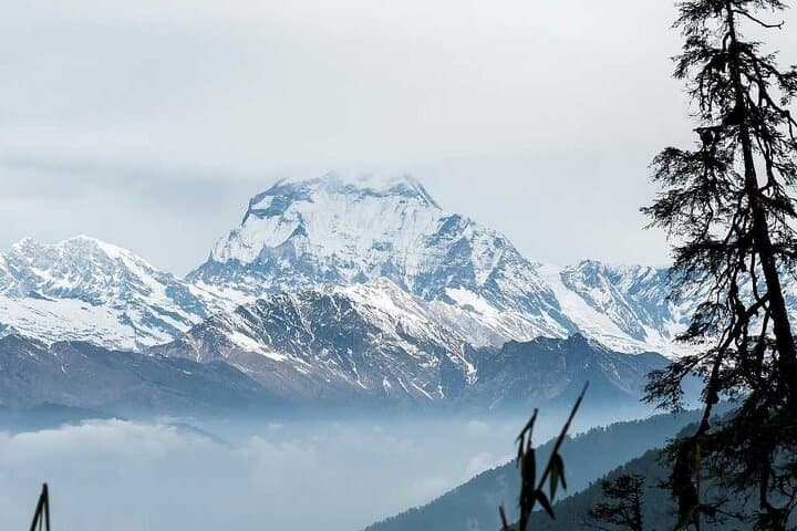 Annapurna Sanctuary Trek: 14-Day Round-Trip with Domestic Flights and Poon Hill Sunrise