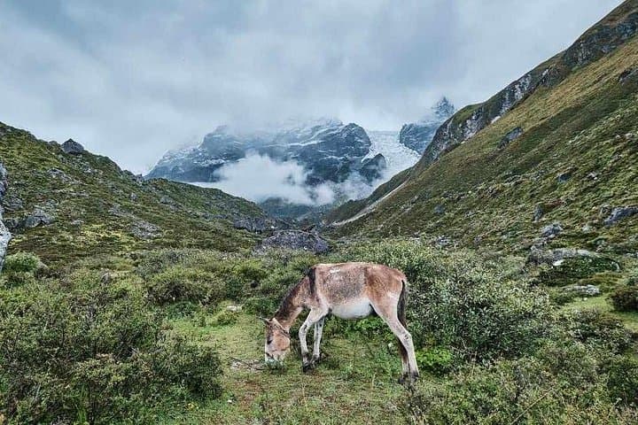 Langtang Valley 7-Day Trek: Teahouse Route from Kathmandu to Kyanjin Gompa photo 2