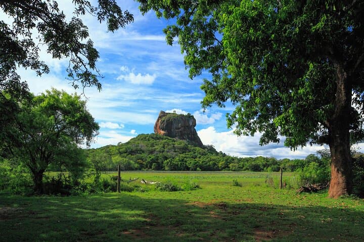 Sigiriya Rock and Wild Elephant Safari — Day Trip from Habarana photo 6